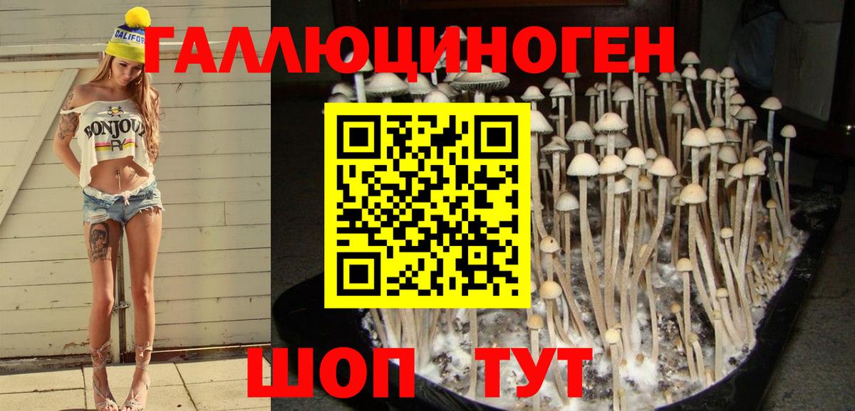 Галлюциногенные грибы MAGIC MUSHROOMS Тамбов